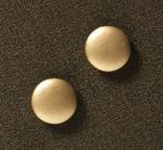 Magneten supersterk rond 25 mm leer in mat goud