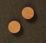 Magneten supersterk rond 25 mm teakhout, 2 stuks