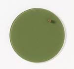 Memobord Naga Nord olijf groen glas 25 cm